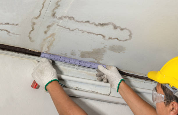 Reliable Water Damage contractor in Metuchen, NJ by Water Damage Irwin